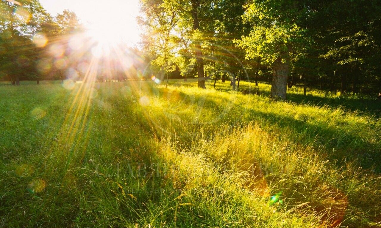 Продажа участка в поселке Петрово-Дальнее