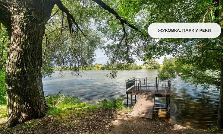 Лот-11970-440721 продажа участка Рублево-Успенское шоссе Камыши