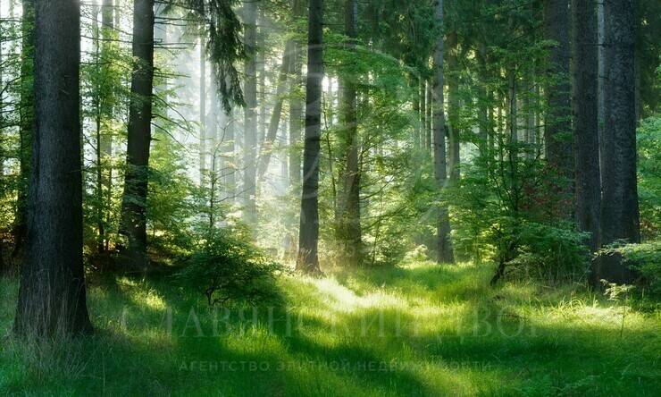 Лот-11986-440822 продажа участка Рублево-Успенское шоссе LES ИСЛАВСКОЕ