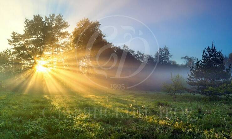 Лот-11996-440916 продажа участка Рублево-Успенское шоссе Жуковка-3