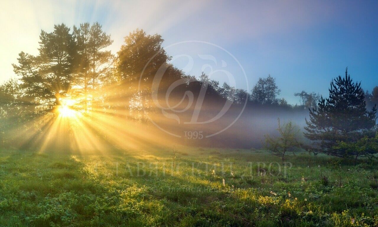 Продажа участка в поселке Агаларов Эстейт