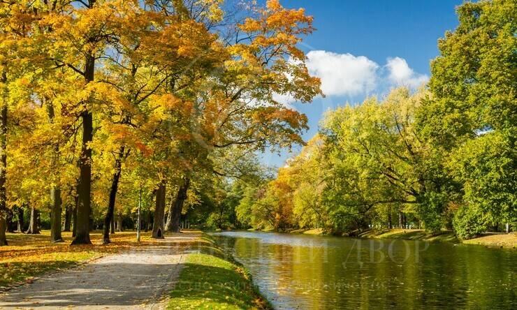 Лот-12266-441305 продажа участка Новорижское шоссе Агаларов Эстейт