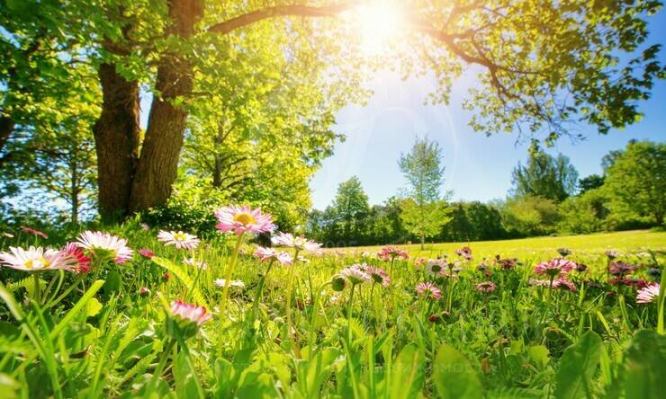 Лот-12110-441361 продажа участка Минское шоссе Довиль