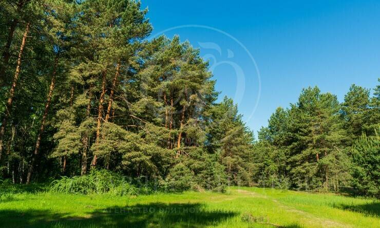 Лот-12108-441363 продажа участка Новорижское шоссе Грин Хилл