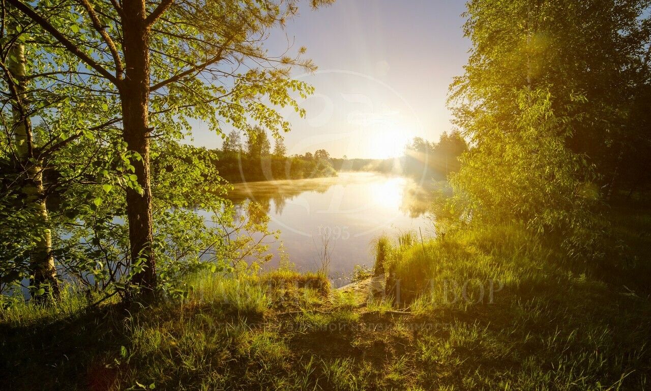 Продажа участка в поселке Глухово