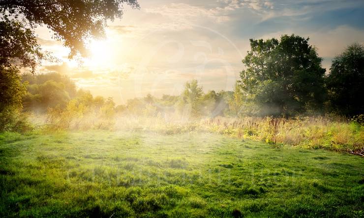 Лот-12176-441388 продажа участка Москва Екатериновка