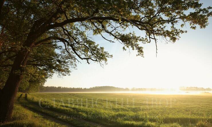 Лот-12064-441389 продажа участка Новорижское шоссе Бенилюкс