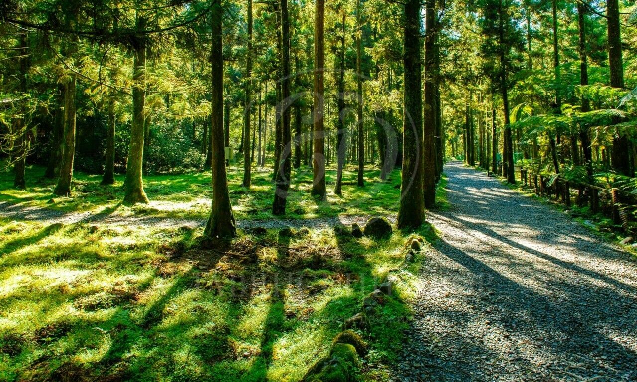 Продажа участка в поселке Архангельское-2