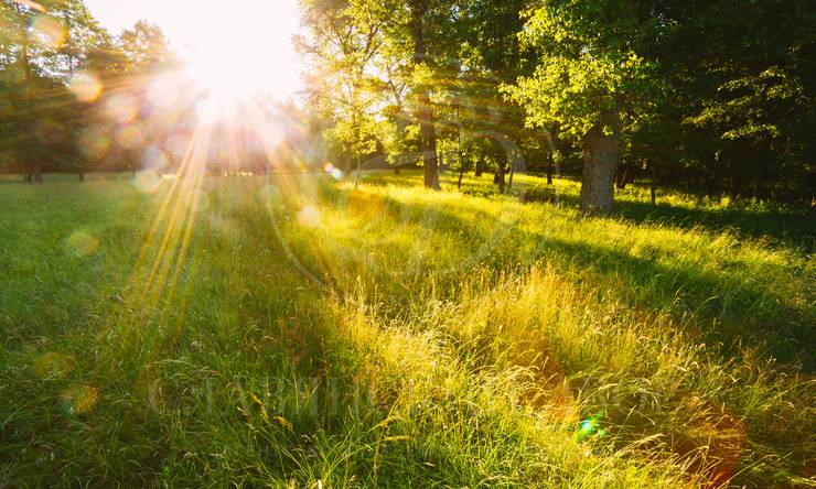 Лот-12053-441396 продажа участка 1-е Успенское шоссе Gorki Lake (Горки Лейк)