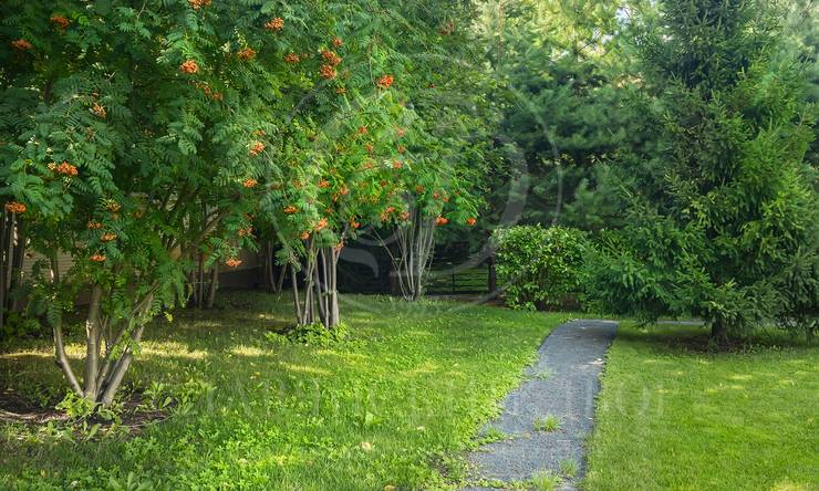 Лот-7251-441457 продажа дома Рублево-Успенское шоссе Жуковка 21 (XXI)