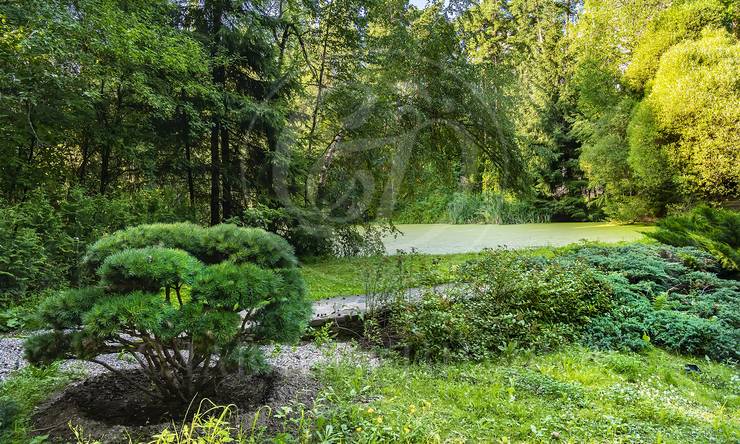 Лот-7167-441470 продажа участка Рублево-Успенское шоссе Сады Майендорф (бывшая территория санатория Барвиха)