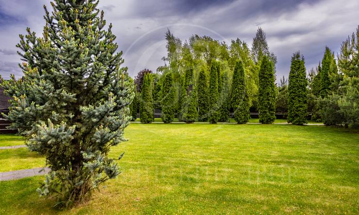 Лот-9231-441703 продажа дома Рублево-Успенское шоссе Ильинское поле