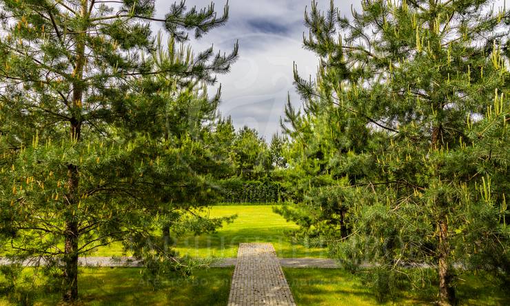 Лот-9231-441710 продажа дома Рублево-Успенское шоссе Ильинское поле