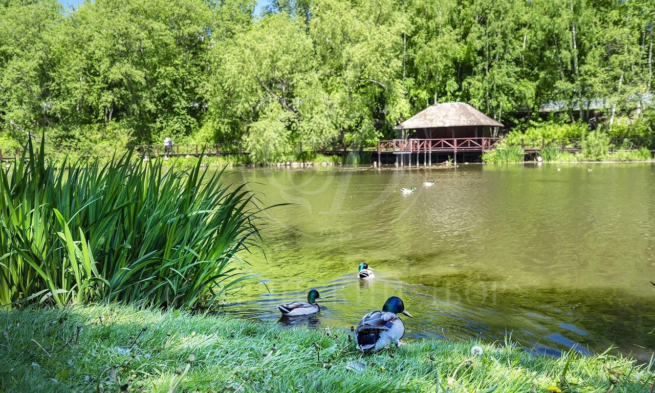 Продажа участка в поселке Николино (Новое Николино)