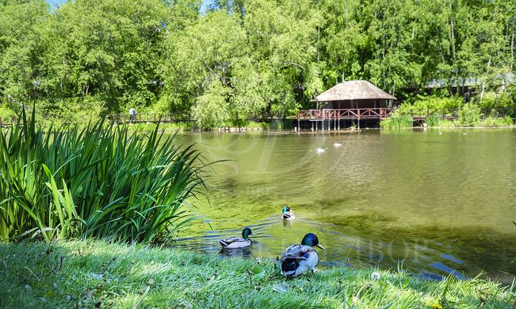 Лот-11880-441786 продажа участка 1-е Успенское шоссе Николино (Новое Николино)