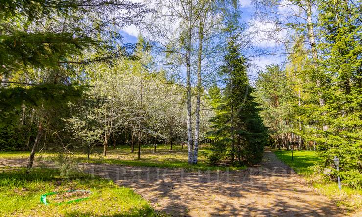 Лот-11956-442008 продажа участка Рублево-Успенское шоссе Жуковка Правая сторона