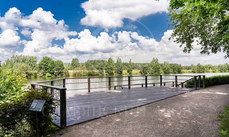 Лот-12022-442061 продажа участка Рублево-Успенское шоссе Раздоры