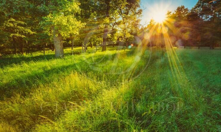 Лот-11570-442477 продажа участка Рублево-Успенское шоссе Раздоры-2