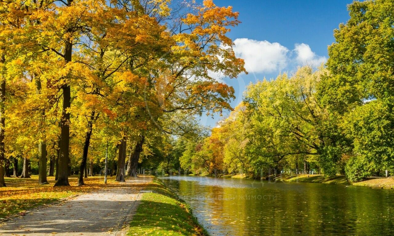 Продажа участка в поселке Кристалл Истра