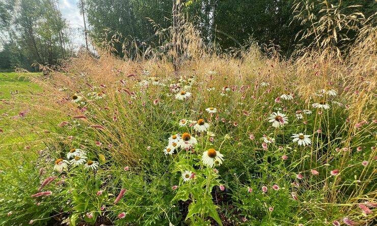 Лот-8657-443128 аренда дома Рублево-Успенское шоссе Кристалл Истра