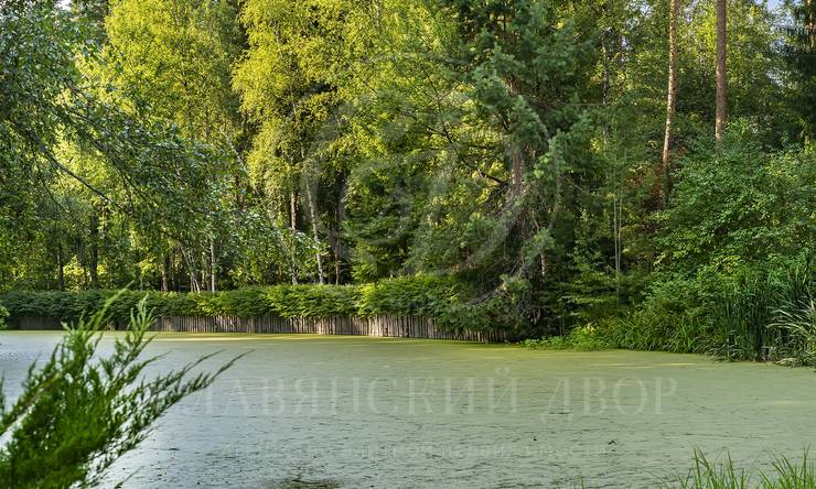 Лот-7973-443556 продажа участка Рублево-Успенское шоссе Сады Майендорф (бывшая территория санатория Барвиха)