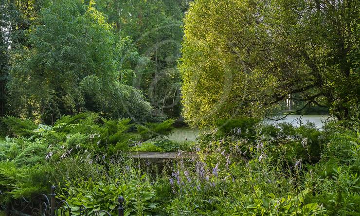 Лот-7379-443696 продажа участка Рублево-Успенское шоссе Сады Майендорф (бывшая территория санатория Барвиха)