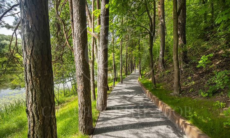 Лот-4309-444197 продажа участка Рублево-Успенское шоссе Косыгинские Дачи