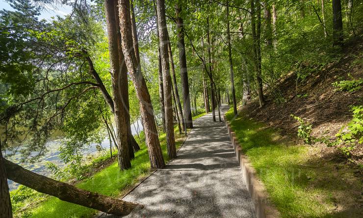 Лот-4309-444201 продажа участка Рублево-Успенское шоссе Косыгинские Дачи