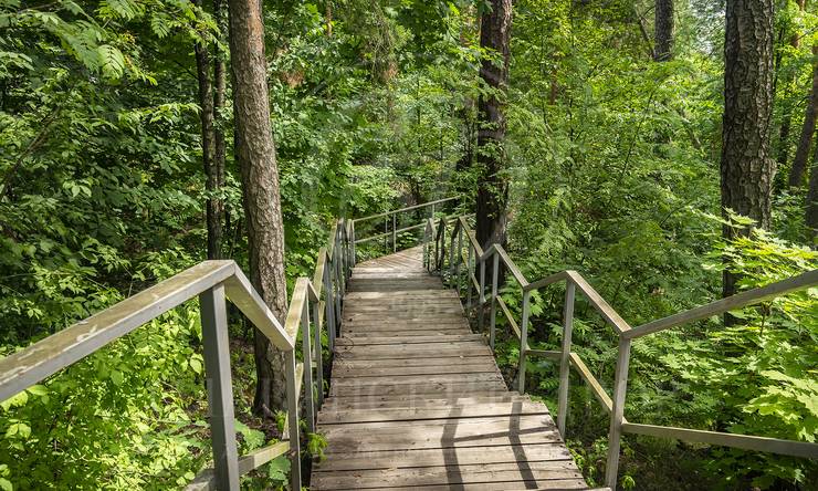 Лот-4309-444213 продажа участка Рублево-Успенское шоссе Косыгинские Дачи