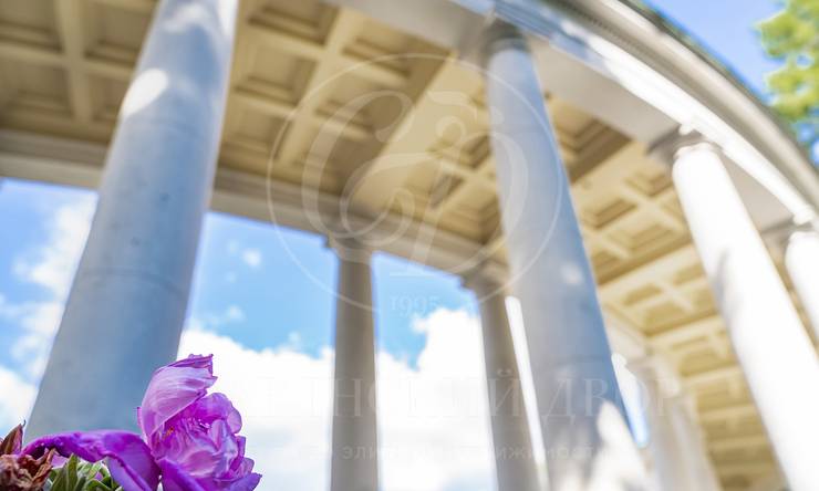 Лот-4309-444216 продажа участка Рублево-Успенское шоссе Косыгинские Дачи