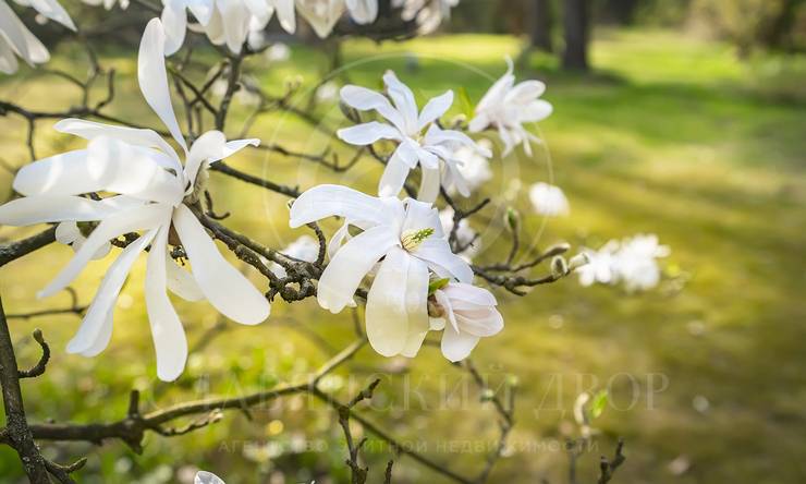 Лот-4057-444303 аренда дома Рублево-Успенское шоссе Жуковка