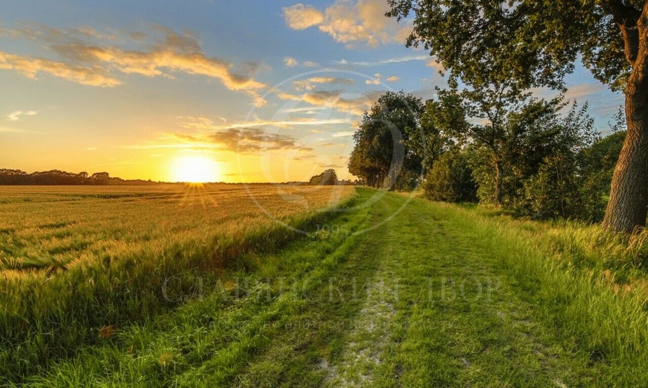 Продажа участка в Николино