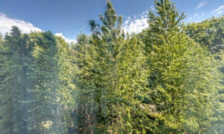 Лот-13360-445842 Продажа квартиры Кунцево