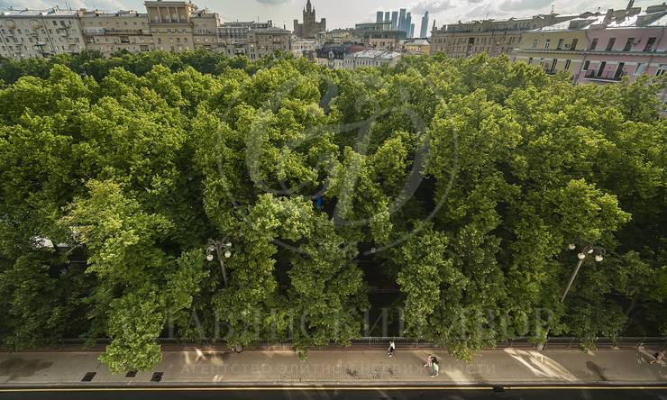 Лот-13316-446467 Аренда квартиры Патриаршие Пруды