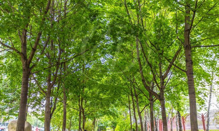 Лот-10014-447254 Аренда квартиры Кунцево