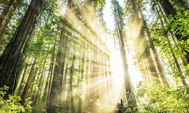 Лот-6889-448199 продажа участка Рублево-Успенское шоссе Горки-8