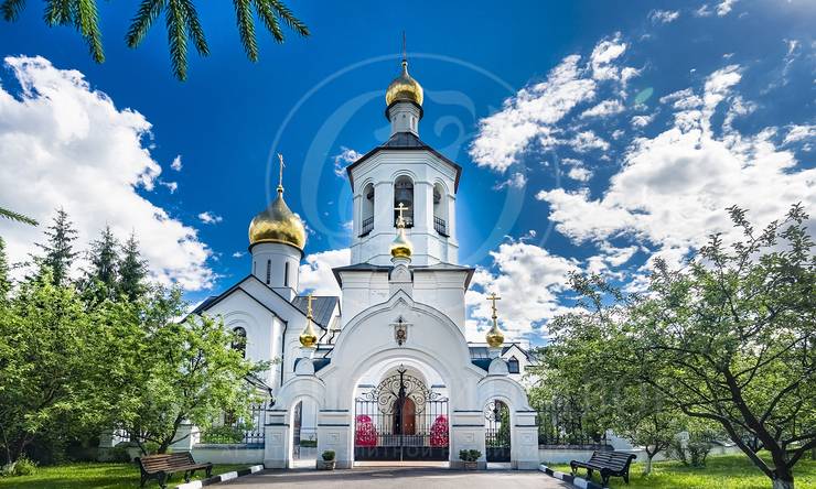 Лот-12293-448219 продажа дома Рублево-Успенское шоссе Горки-8