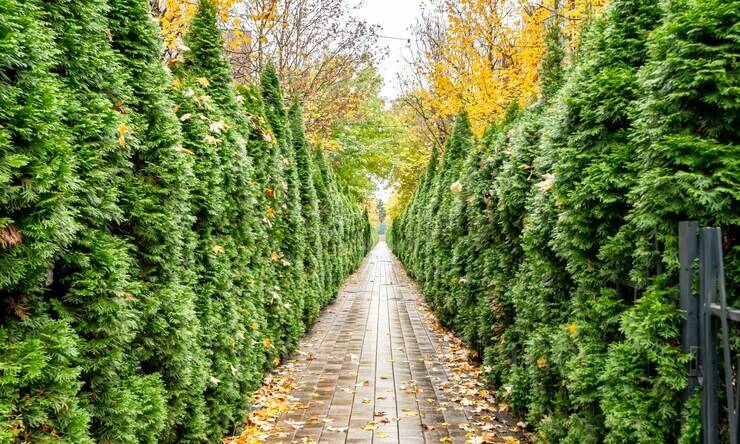 Лот-12295-448359 продажа дома Новорижское шоссе Футуро Парк