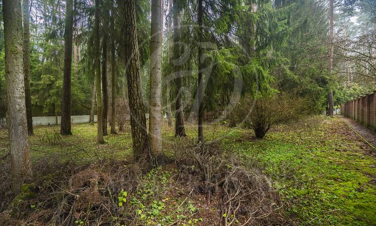 Лот-12306-449057 продажа дома 1-е Успенское шоссе Новая деревня