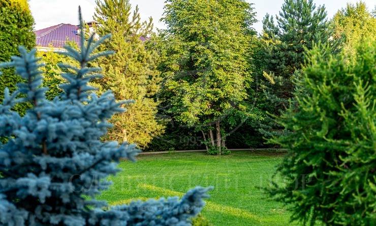 Лот-12330-450262 продажа дома Новорижское шоссе Миллениум парк