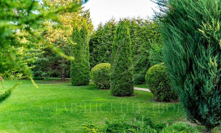 Лот-12330-450330 продажа дома Новорижское шоссе Миллениум парк