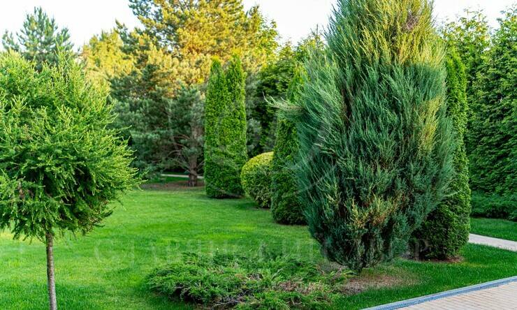 Лот-12330-451199 продажа дома Новорижское шоссе Миллениум парк