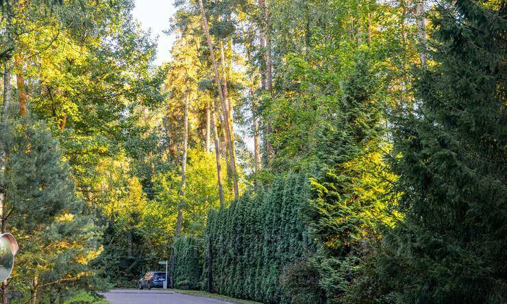 Лот-12332-451287 продажа дома Рублево-Успенское шоссе Сосновый Бор