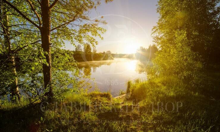 Лот-12346-452124 продажа участка Рублево-Успенское шоссе Подушкино