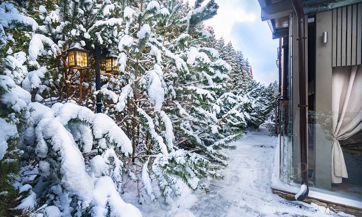 Лот-12342-452205 продажа дома Новорижское шоссе Борзые