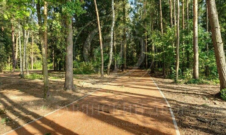 Лот-12350-452280 продажа дома 1-е Успенское шоссе Николино (Новое Николино)