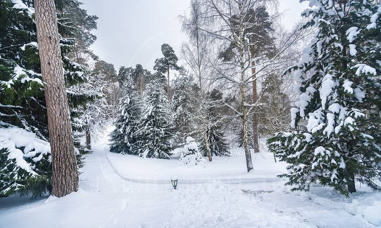 Лот-5793-452928 аренда дома Рублево-Успенское шоссе Калчуга