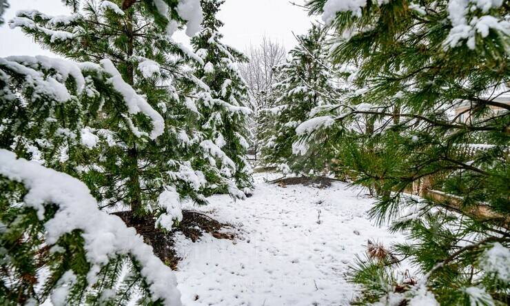 Лот-12364-453356 продажа дома Новорижское шоссе Миллениум парк