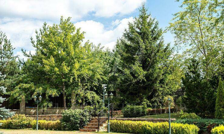 Лот-12375-454142 продажа дома Новорижское шоссе Павлово