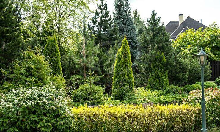 Лот-12375-454173 продажа дома Новорижское шоссе Павлово